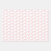 オールイメリーーズホリデー格言 ラッピングペーパーシート (正面2)