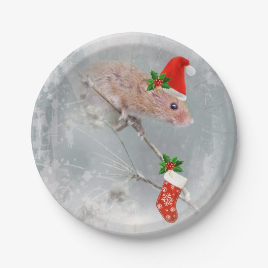 オールセットサンタ紙プレート ペーパープレート (正面)