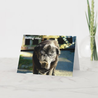 オールドおもしろいブラックパグ誕生日カード カード