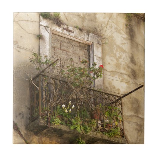 オールドアボレイドハウス タイル (正面)