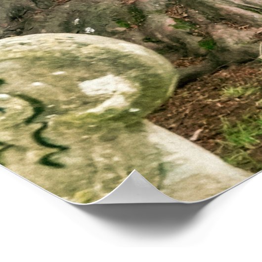 オールドイチイ ポスター (角)