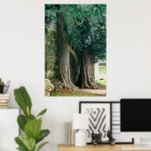 オールドイチイ ポスター (ホームオフィス)