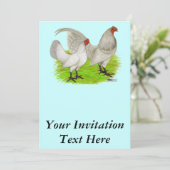 オールドイングランドゲームセルフブルー 招待状 (スタンド正面)