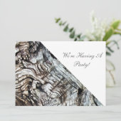 オールドイングランド招待状 (スタンド正面)