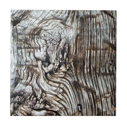 オールドイングランド タイル (正面)