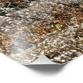 オールドイングランド フォトプリント            (角)