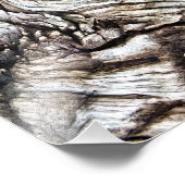 オールドイングランド フォトプリント            (角)