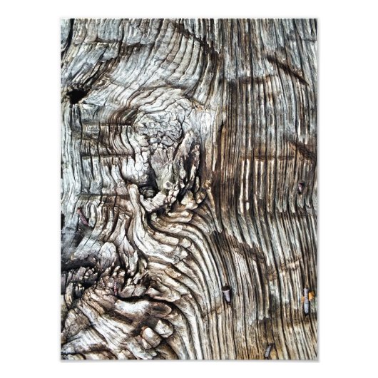 オールドイングランド フォトプリント            (正面)