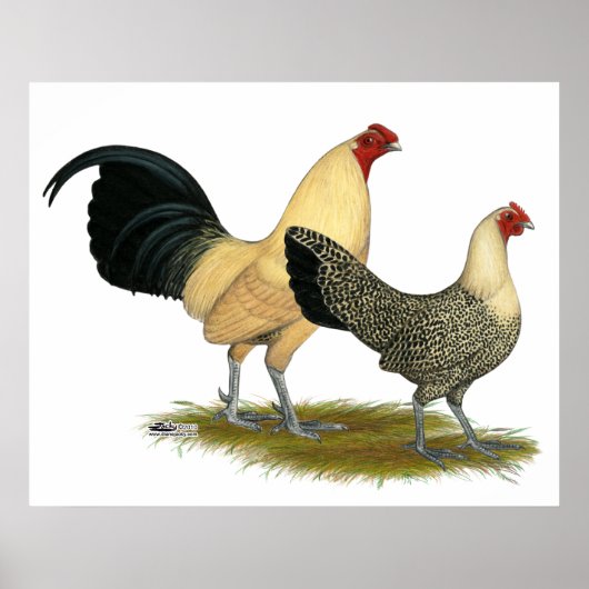 オールドイングリッシュクリームバターカップ ポスター (正面)