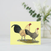 オールドイングリッシュクリームバターカップ ポストカード (スタンド正面)