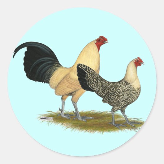 オールドイングリッシュクリームバターカップ ラウンドシール (正面)