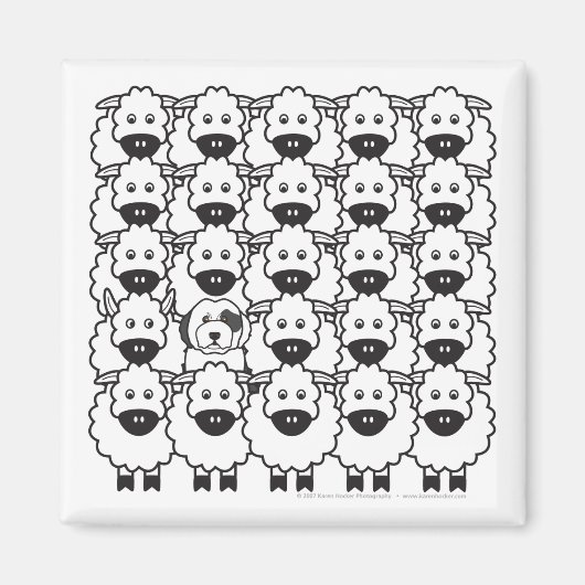 オールドイングリッシュシープドッグの羊 マグネット (正面)