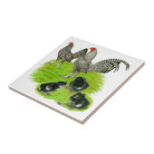 オールドイングリッシュバーレッドバンタムファミリー タイル (側面)