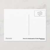 オールドウエストフォートワースストックヤードバー ポストカード (裏面)