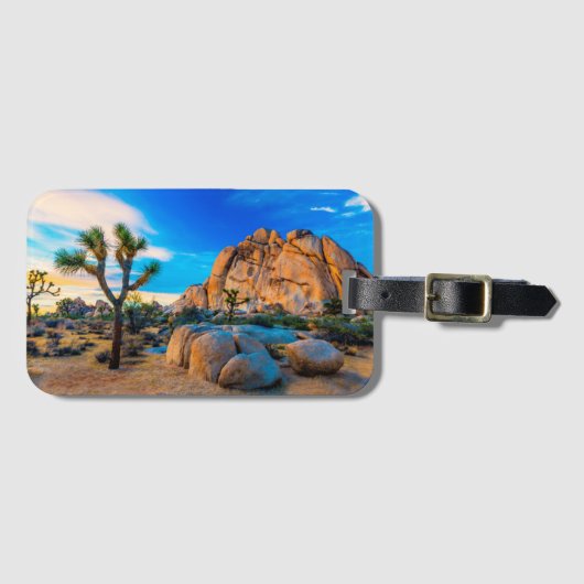 オールドウーマンロック-ジョシュアツリー国立公園 ラゲッジタグ (正面横)