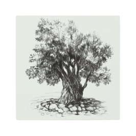オールドオリーブツリーメタルプリント メタルプリント