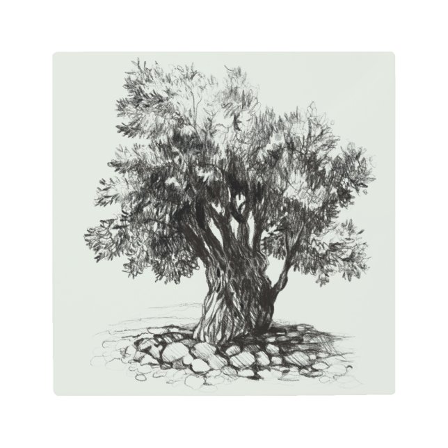 オールドオリーブツリーメタルプリント メタルプリント (正面)