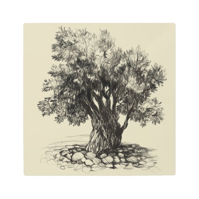 オールドオリーブツリーメタルプリント メタルプリント (正面)