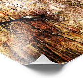 オールドオークの木の樹皮 フォトプリント            (角)