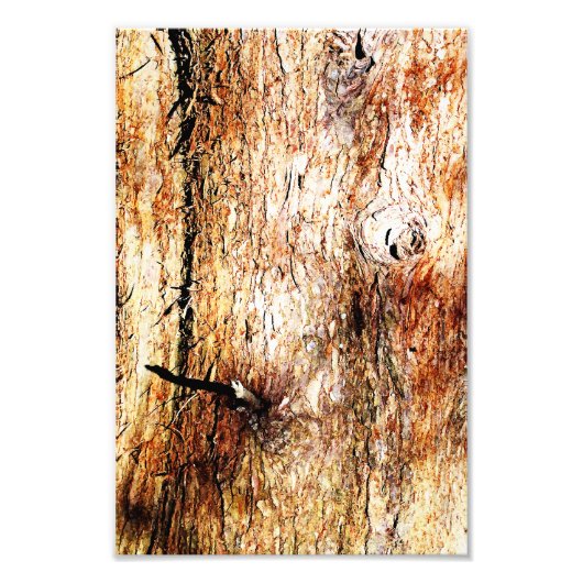 オールドオークの木の樹皮 フォトプリント            (正面)