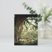 オールドオークツリー ポストカード (スタンド正面)