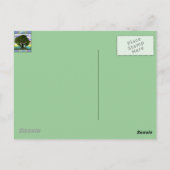 オールドオーク葉書 ポストカード (裏面)