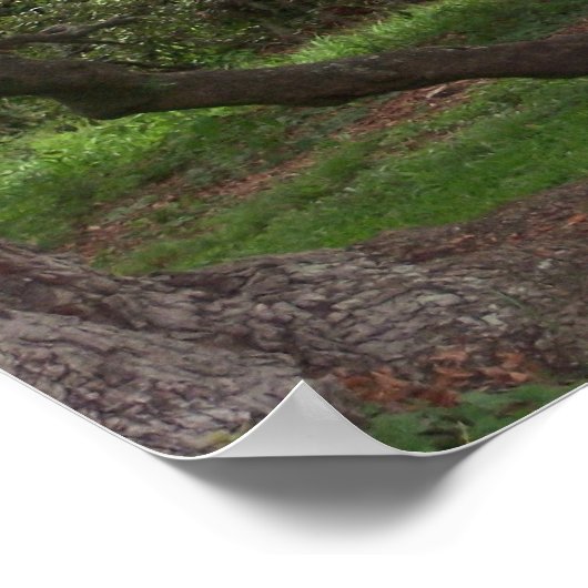 オールドオーク ポスター (角)