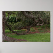 オールドオーク ポスター (正面)