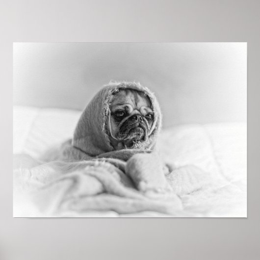 オールドカントリー・プグ ポスター (正面)