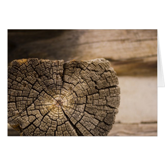 オールドキャビン質感 (正面横)