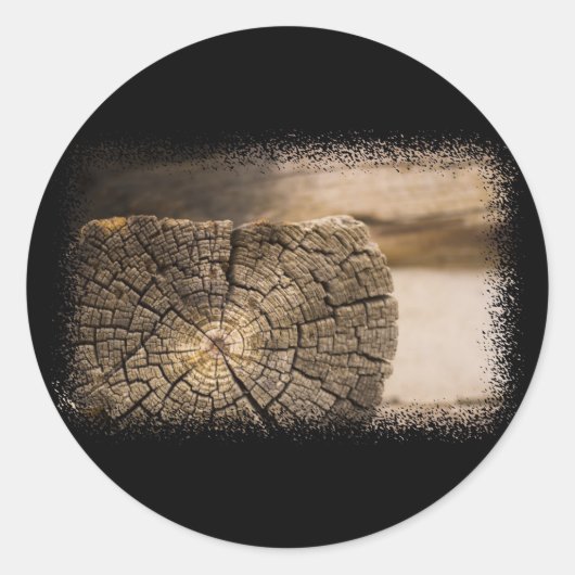 オールドキャビン質感 ラウンドシール (正面)