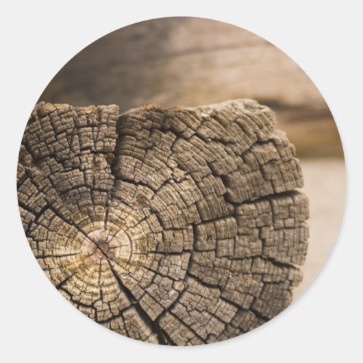 オールドキャビン質感 ラウンドシール (正面)