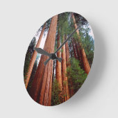 オールドグロウンセコイアレッドウッドの木 ラウンド壁時計 (傾斜)