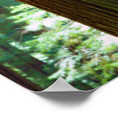 オールドグロスレッドウッドの木 ポスター (角)