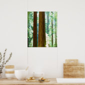 オールドグロスレッドウッドの木 ポスター (キッチン)