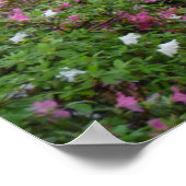 オールドサバンナ ポスター (角)