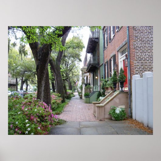 オールドサバンナ ポスター (正面)