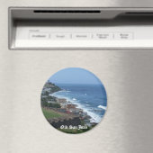 オールドサンファンマグネット マグネット (インサイチュ (食洗機))