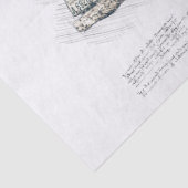 オールドシェボレーレトロクラシックトラックデカップージ 薄葉紙 (詳細)