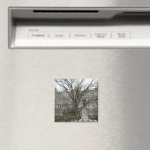 オールドシティホール、リッチモンド、VA春 マグネット (インサイチュ (食洗機))