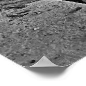 オールドジャージー市:ルーズベルト競技場 ポスター (角)