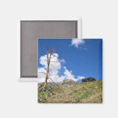 オールドストーンキャビンGaylor Lakes, Tioga Pass, CA マグネット (正面/裏面)