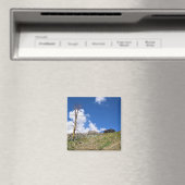 オールドストーンキャビンGaylor Lakes, Tioga Pass, CA マグネット (インサイチュ (食洗機))