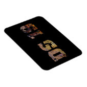 オールドタイマシトロエンDS 19ラデースシフランスのティ マグネット (右側)