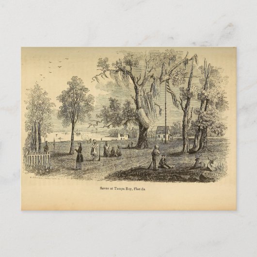 オールドタンパ湾 ポストカード (正面)