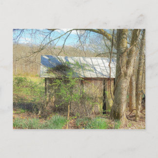 オールドチキンコック ポストカード