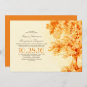 オールドツリーオレンジ色の水色結婚式招待状 招待状 (正面/裏面)