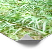 オールドトラクター ポスター (角)