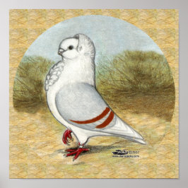 オールドドイツ・フクロウ・ハト ポスター