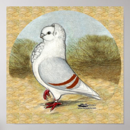 オールドドイツ・フクロウ・ハト ポスター (正面)